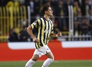 haber_img
