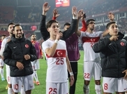 haber_img