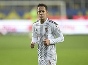 haber_img